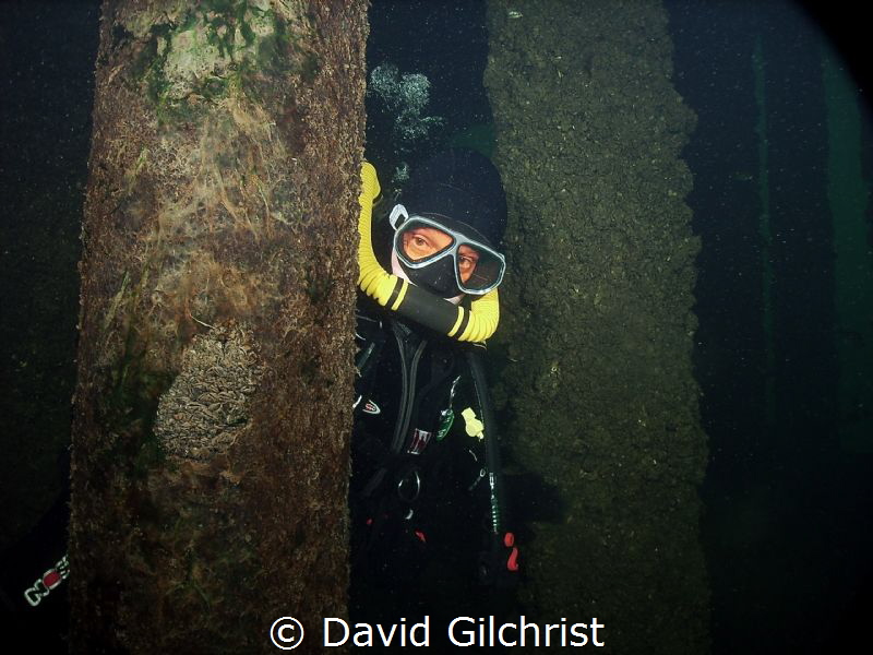 Diver using Vintage Double Hose Regulator at the Swing Br... by David Gilchrist 