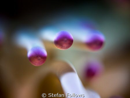 "I've got a silver machine ... " Hawkwind. Magnificent An... by Stefan Follows 