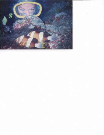Clown Fish and Diver connect by Kathy Gillen 