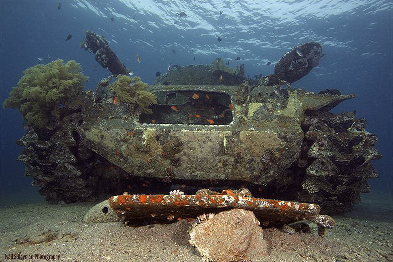 The Tank by Iyad Suleyman 
