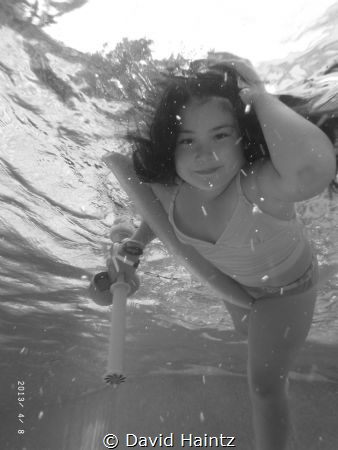 ELLA-BLU. Photo taken in our pool. by David Haintz 