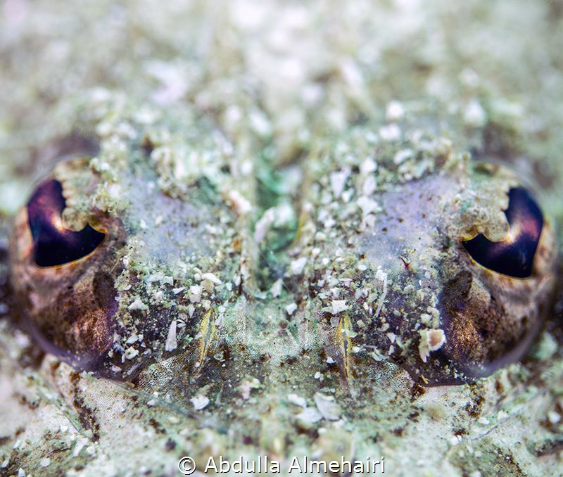 EYE by Abdulla Almehairi 