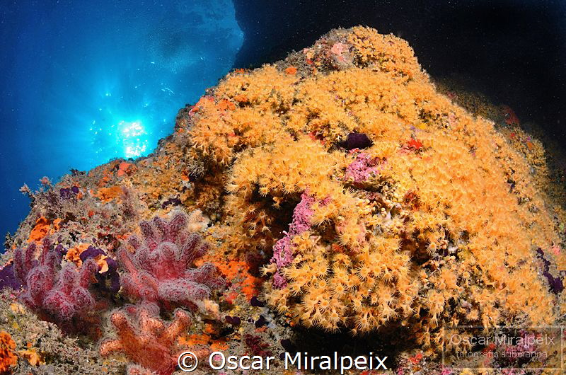 mediterranean ... by Oscar Miralpeix 
