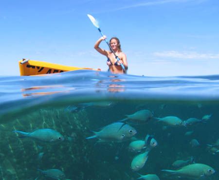 Kayaking on Ningaloo Reef. by Penny Murphy 