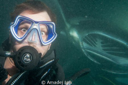 Selfie of myself and another fish in the night.. by Amadej Lah 