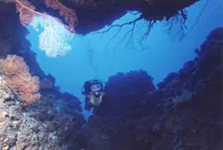 Diver glides into the BAT CAVE.

Olympus C-8080W Ikelit... by Nicolas Pohl 