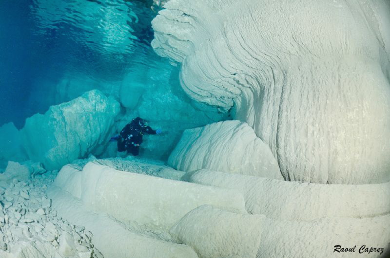 Diving in wonderland by Raoul Caprez 