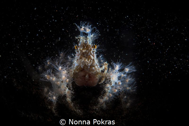 Spaceman by Nonna Pokras 