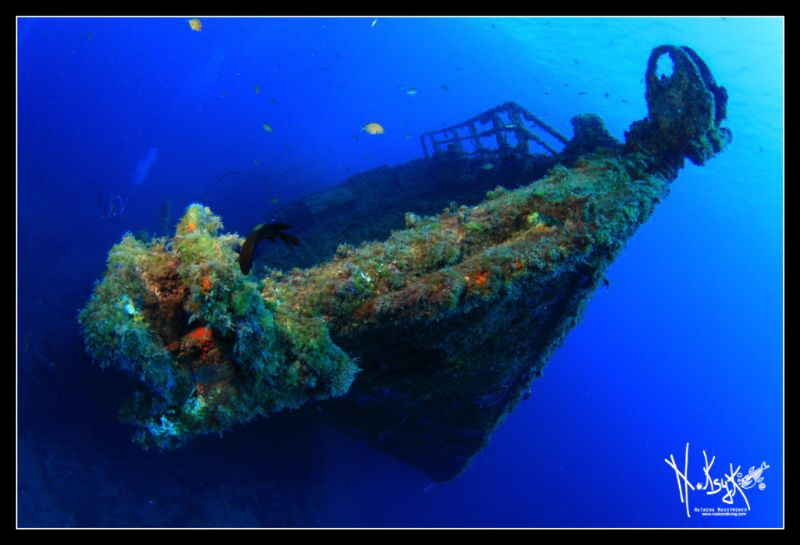 Wreck at 40 mts. by Natasha Maksymenko 
