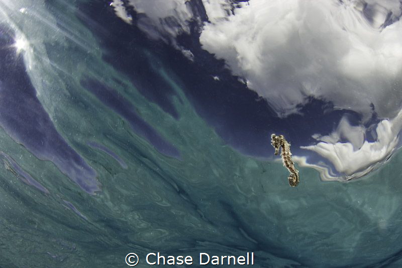 The right place at the right time is all that can be said... by Chase Darnell 