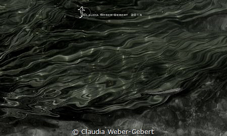 structures - against the current.... Krka waterfalls - Cr... by Claudia Weber-Gebert 