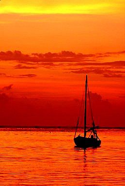 Roatan, Honduras. by Shawn Jackson 