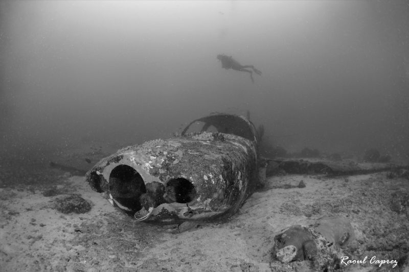 Flying diver by Raoul Caprez 