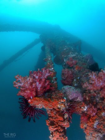 Life on oil rig by Kf Leong 