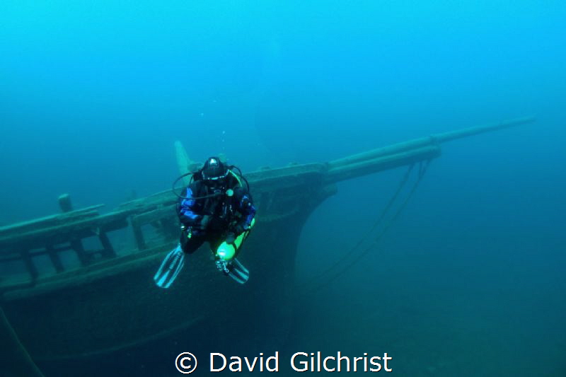 With the bow of the Barque 'Arabia' in the background a d... by David Gilchrist 