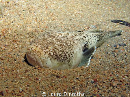 Stargazer on the sand at night by Laura Dinraths 