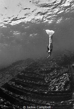 The tile wreck in the Red Sea with a special visitor........ by Jackie Campbell 