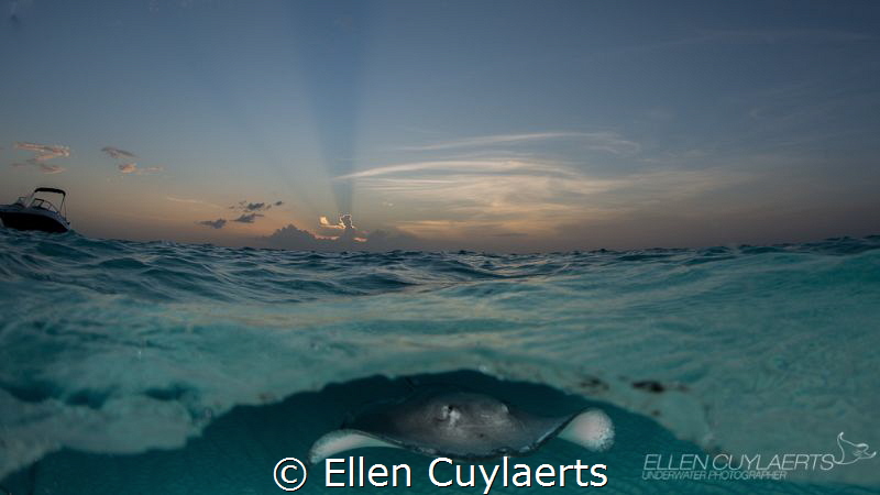 Good night!
Sandbar at sunset! by Ellen Cuylaerts 