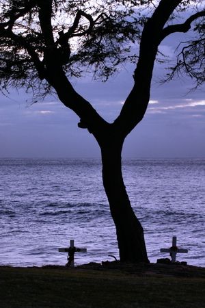 In memory of…? A common site you’ll see around the Island... by Glenn Poulain 