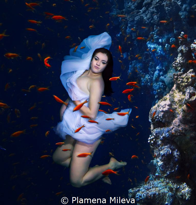 Expectations maternity by Plamena Mileva 