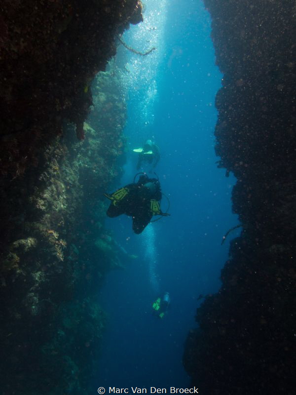 deepdivers by Marc Van Den Broeck 