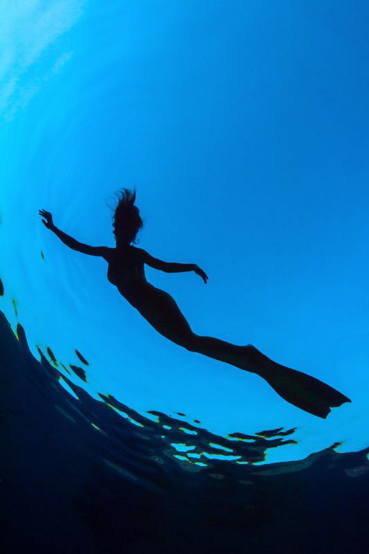 Mermaid Silhouette by Paul Colley 