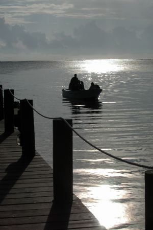 the morning commute, ambergis cay , belize. by Laurence Hegarty 