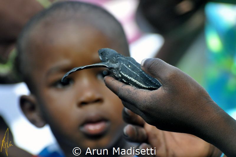 Learning about and seeing a leatherback turtle. by Arun Madisetti 