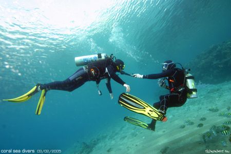 Intro Dive by Dan Ashkenasi 