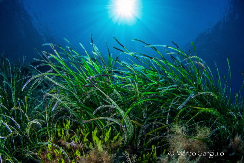 Sunrays by Marco Gargiulo 