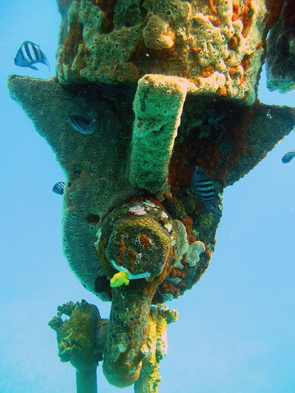 Hello Buoy man.. by Durand Gerald 