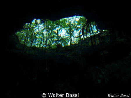 the eye of the cenote
Taj Mahal cenote by Walter Bassi 