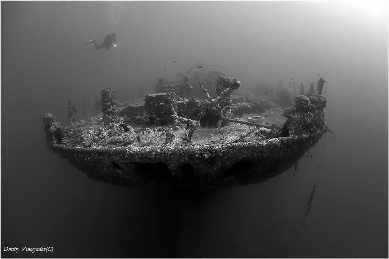 SS Turkia
The Gulf of Suez by Dmitry Vinogradov 