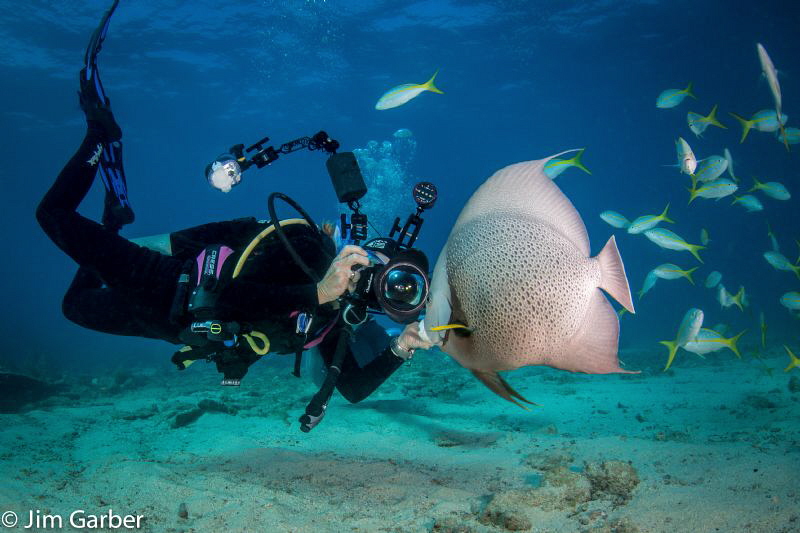 Angle fish whisperer by Jim Garber 