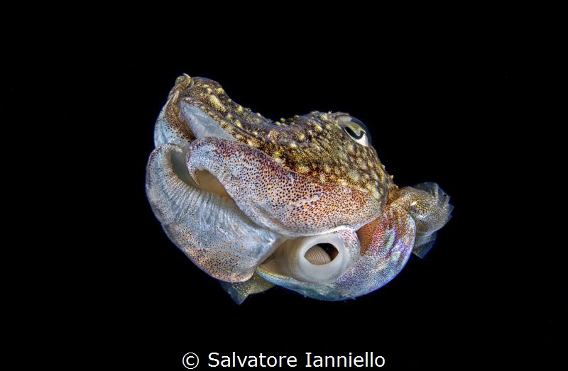 Night meetings by Salvatore Ianniello 