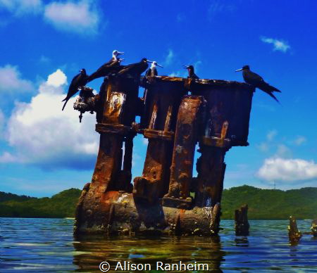 Sunken ship off the coast of Roatan Island! by Alison Ranheim 