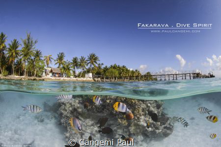 Dive spirit Fakarava dive center, north pass of Fakarava ... by Cangemi Paul 