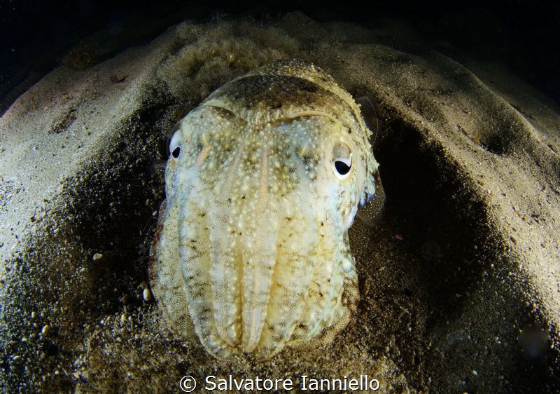 I look at you by Salvatore Ianniello 