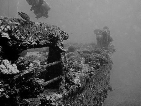 Mahi Wreck, Oahu, HI. by Dallas Poore 