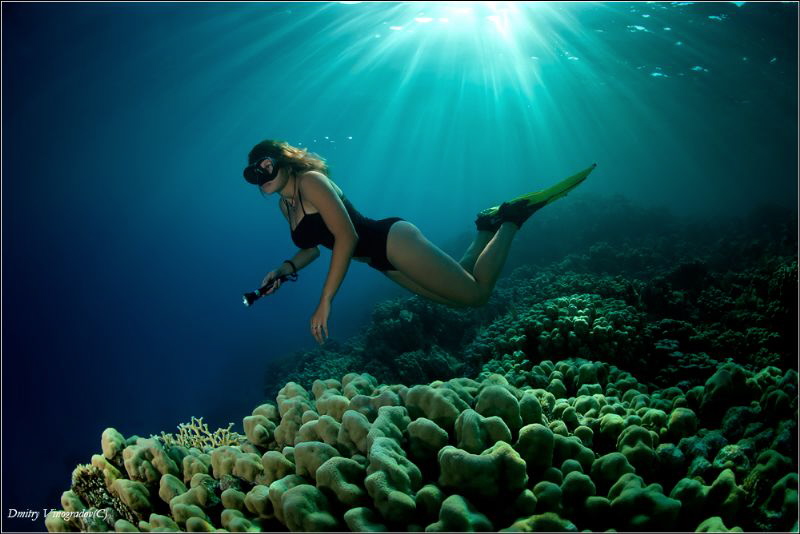 Abu Nuhas reef by Dmitry Vinogradov 