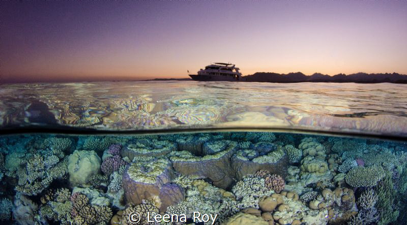 Red Sea split by Leena Roy 