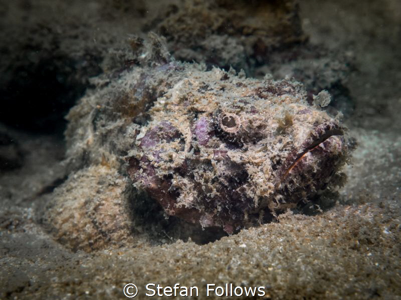 "No object is so beautiful that, under certain conditions... by Stefan Follows 