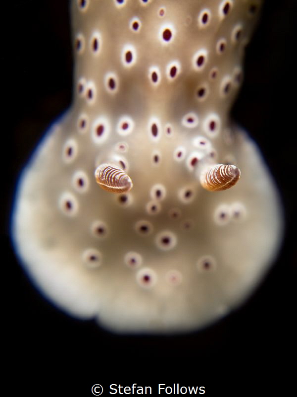 "Individually, we are one drop. Together, we are an ocean... by Stefan Follows 