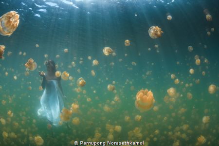 "Dream on" by Parnupong Norasethkamol 