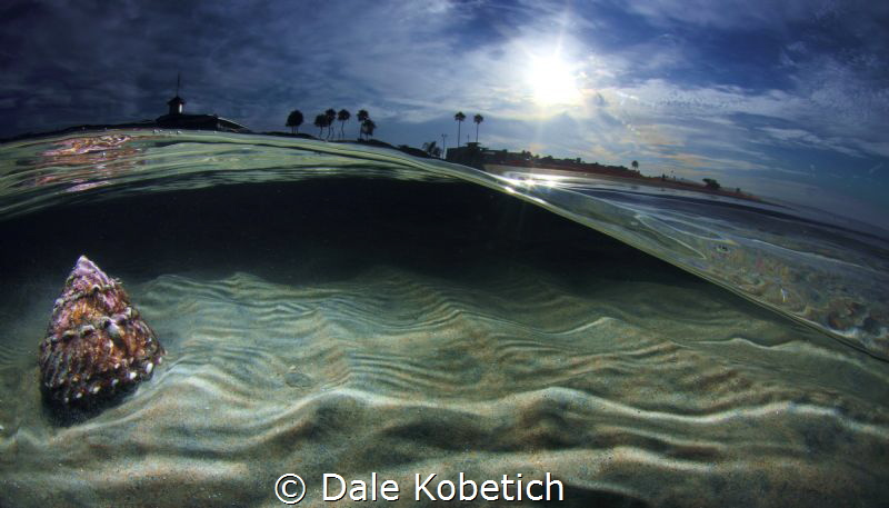 morning light by Dale Kobetich 