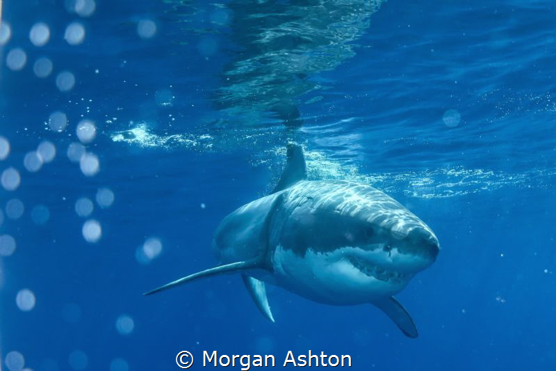 Guadalupe, Mexico by Morgan Ashton 