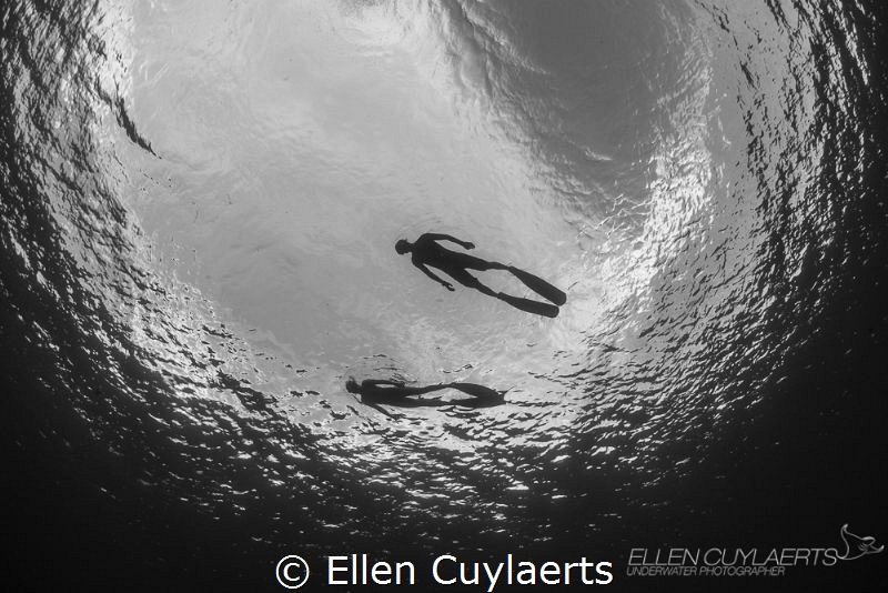 Happy #worldphotoday! It's my window to the world! by Ellen Cuylaerts 