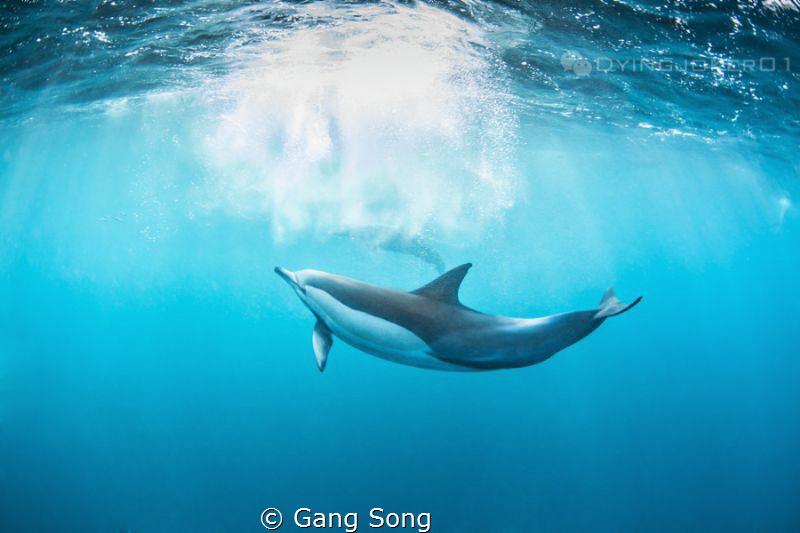 perfect shape by Gang Song 