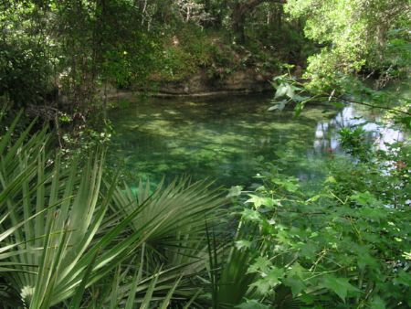 Blue Springs Boil in the center of this pool of water is ... by Ray Eccleston 