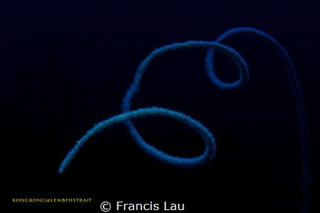 Silent please by Francis Lau 